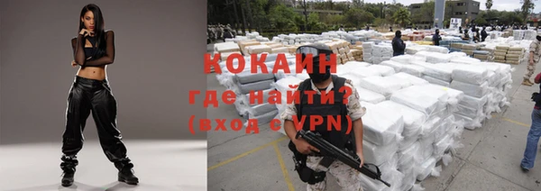 крисы Магадан