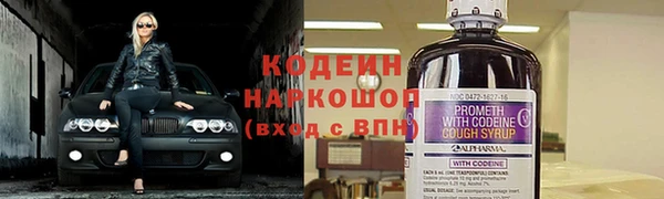 крисы Магадан