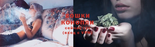 крисы Магадан