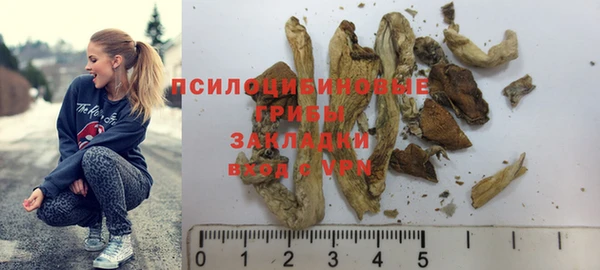 крисы Магадан