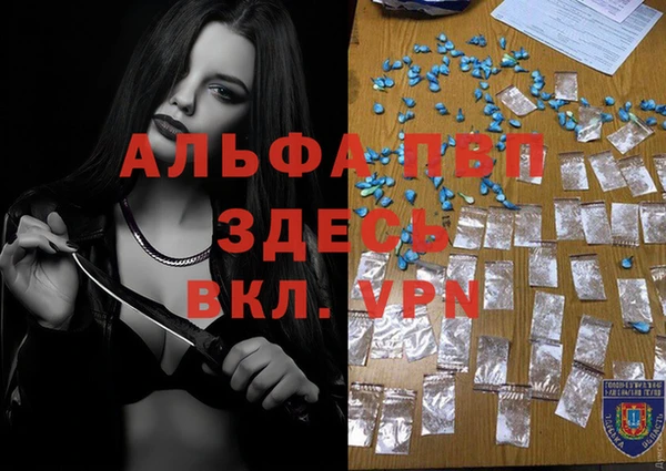 крисы Магадан